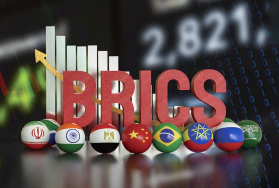 세계 질서의 변화와 신흥동반국의 부상